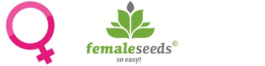 Female Seeds Granes Feminitzades