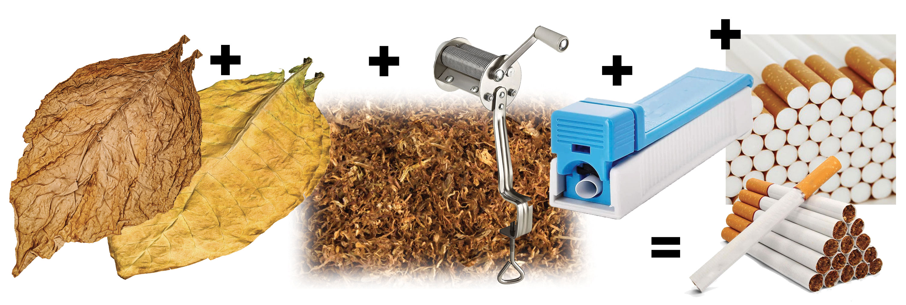 Acheter des feuilles de tabac séchées naturelles pour créer ses propres  cigarettes! - Canna-shops FR